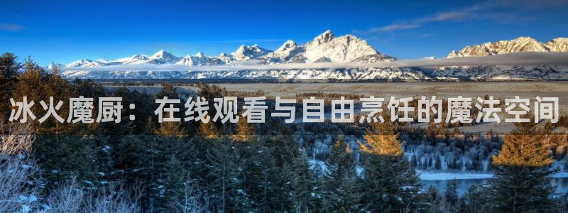 age动漫网官网入口